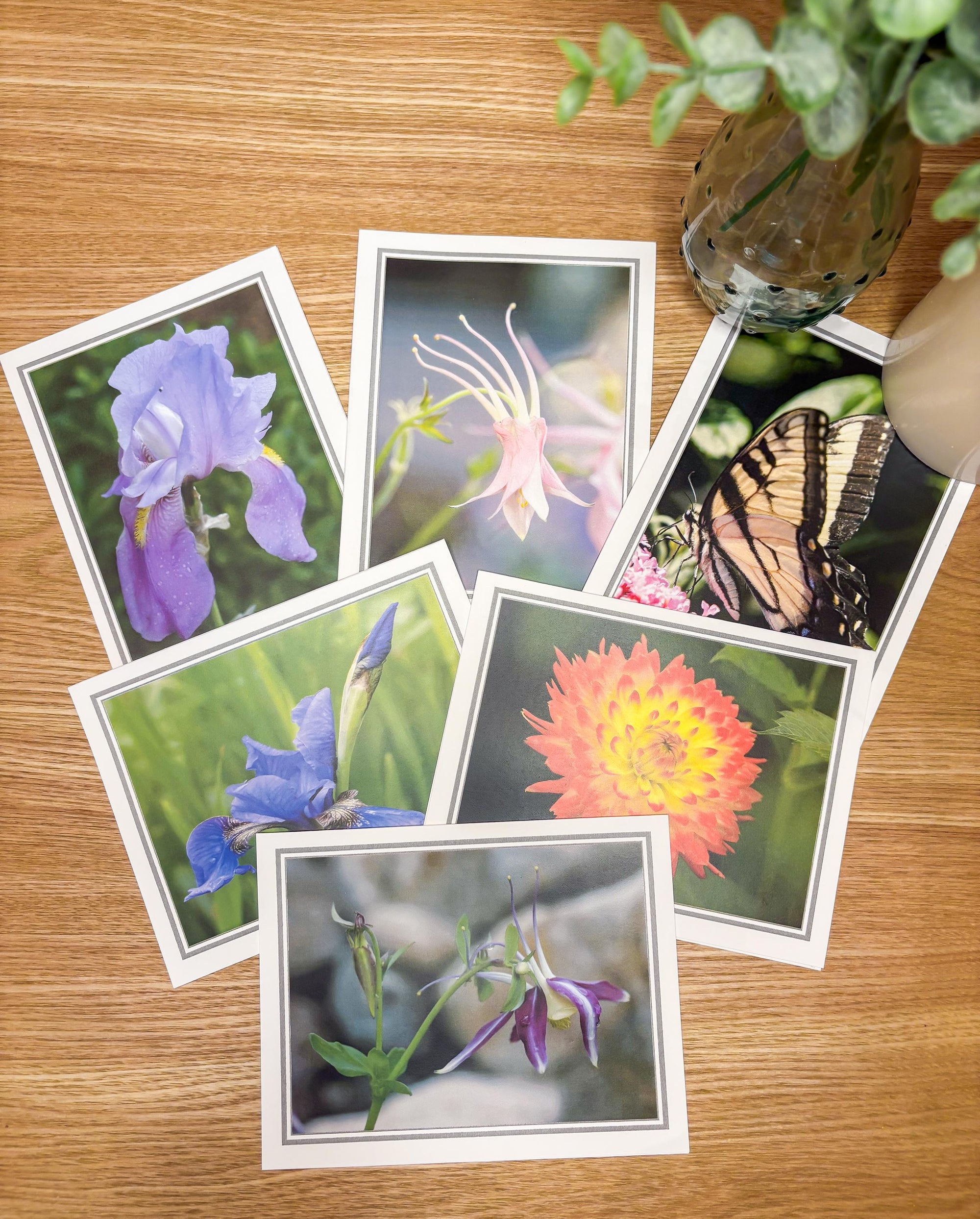 Photographic Blank Cards with Scripture Back - Packs of 6 With Envelopes - Various Pictures