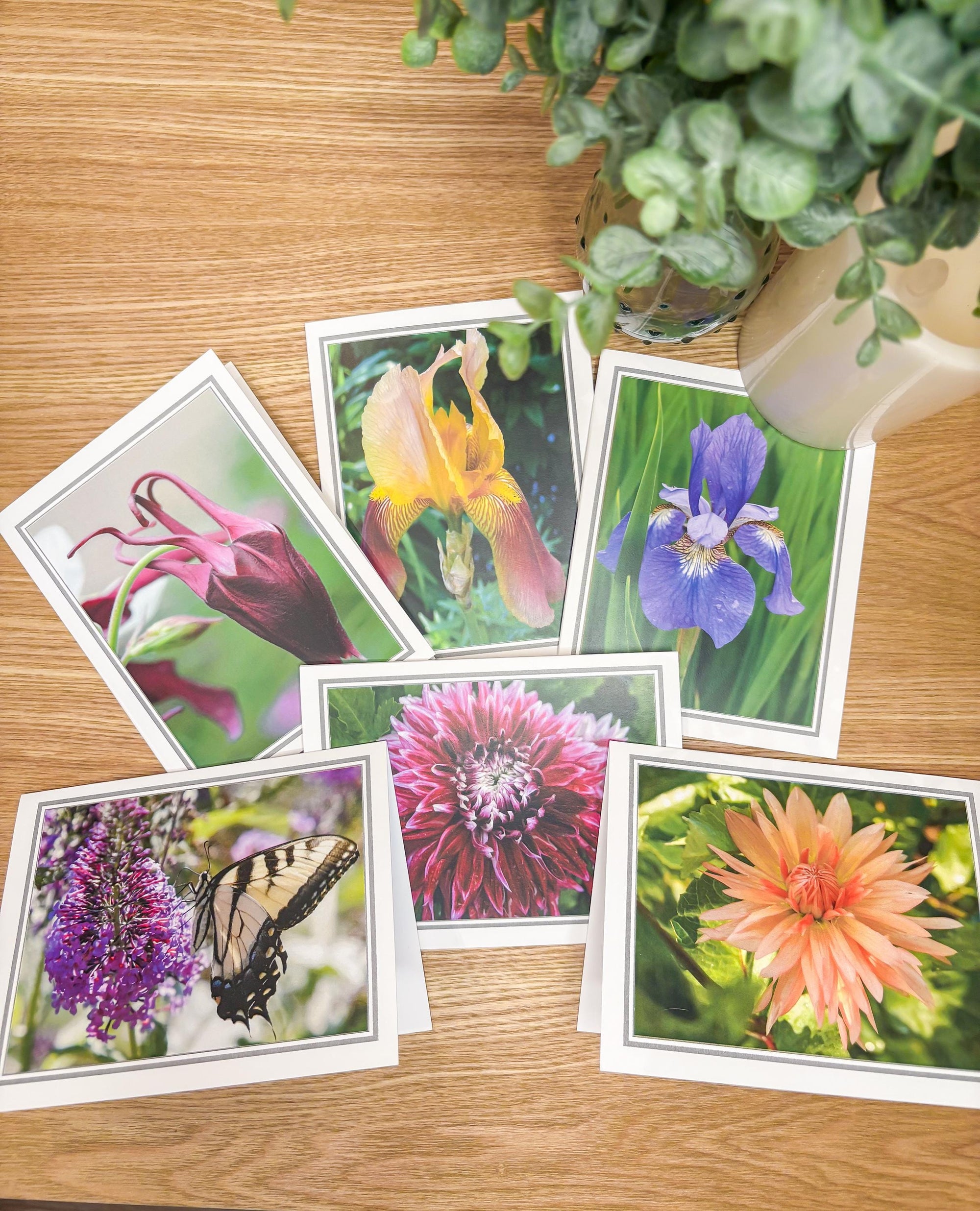 Photographic Blank Cards with Scripture Back - Packs of 6 With Envelopes - Various Pictures