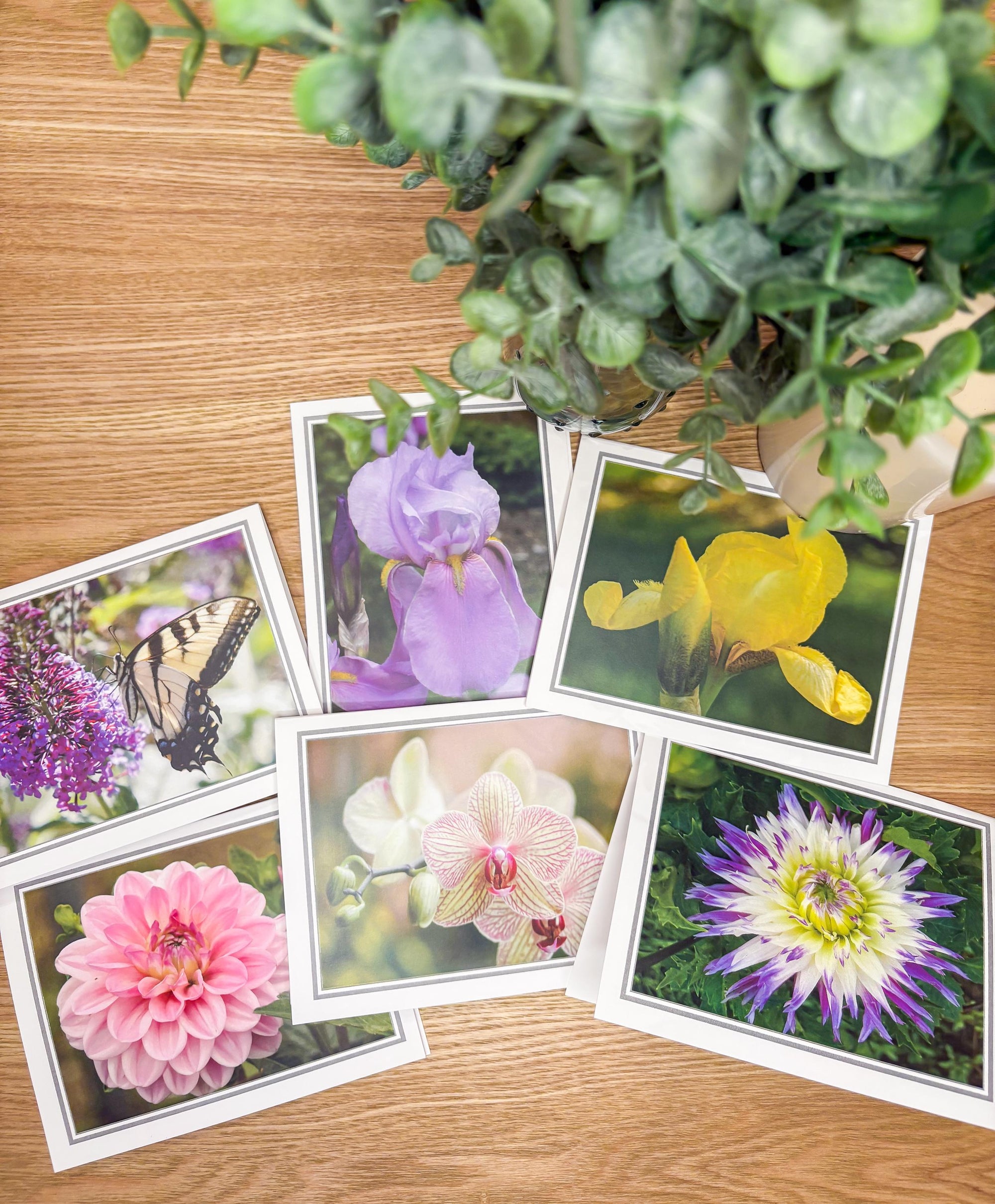 Photographic Blank Cards with Scripture Back - Packs of 6 With Envelopes - Various Pictures