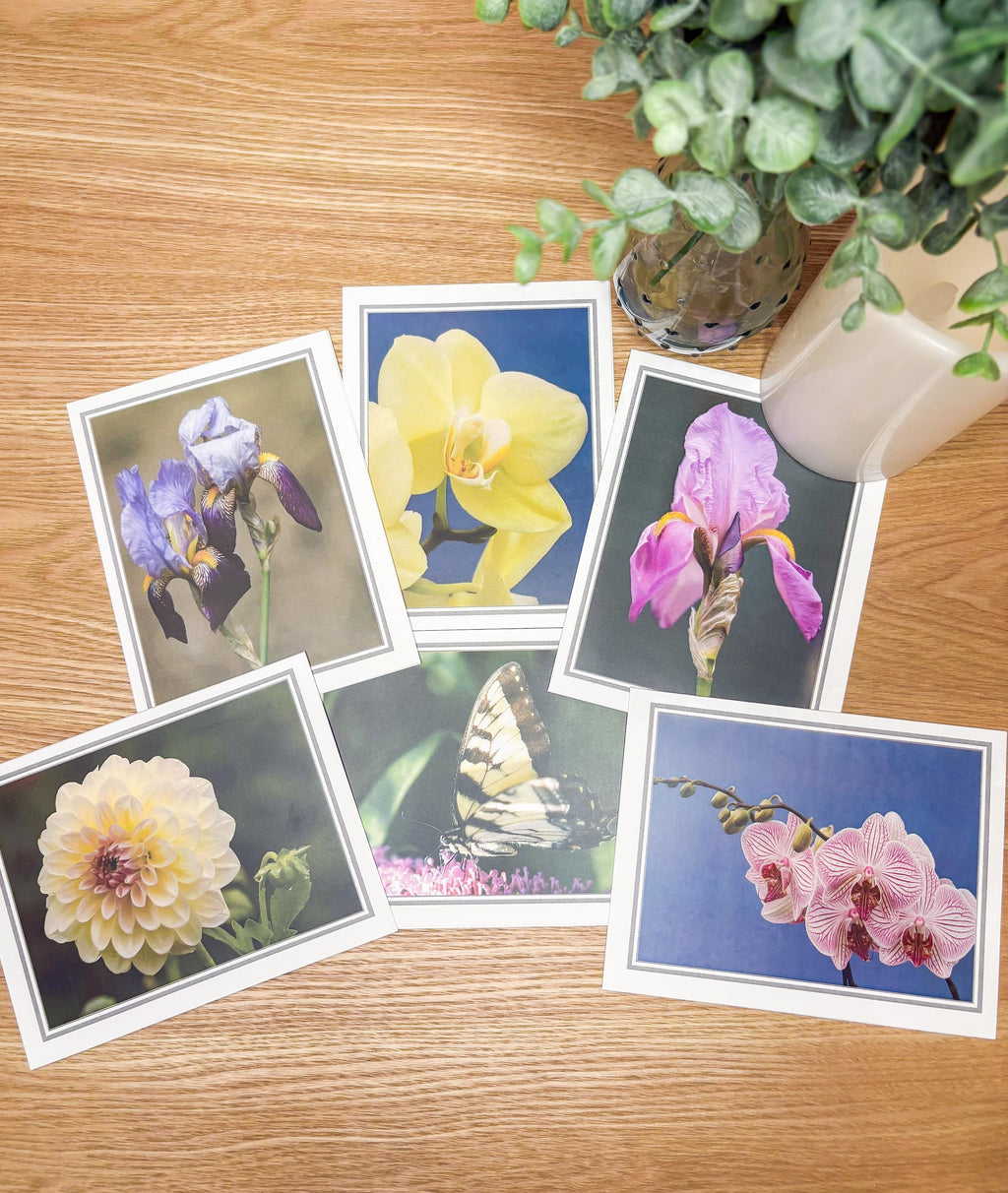 Photographic Blank Cards with Scripture Back - Packs of 6 With Envelopes - Various Pictures