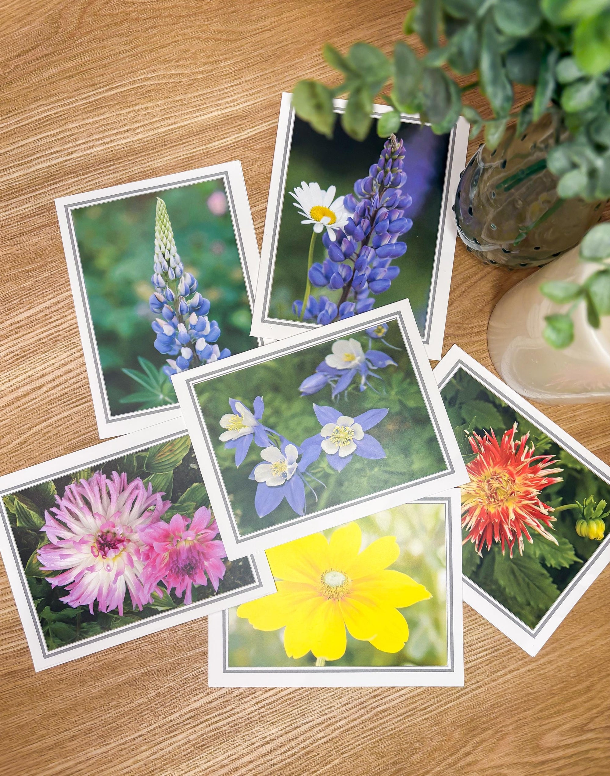 Photographic Blank Cards with Scripture Back - Packs of 6 With Envelopes - Various Pictures